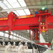 WEIHUA Multifunction Crane for Electrolytic Aluminum